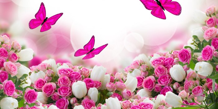 2880x1800 Best Beautiful pink spotted flower Wallpapers (8 + Images)