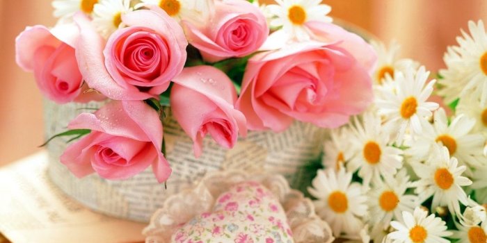 1024x768 Beautiful Pink Roses Wallpapers (1920x1200, vr.89