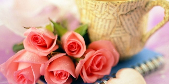 1600x1200 Beautiful Pink Roses For Desktop Wallpaper High Quality Resolution