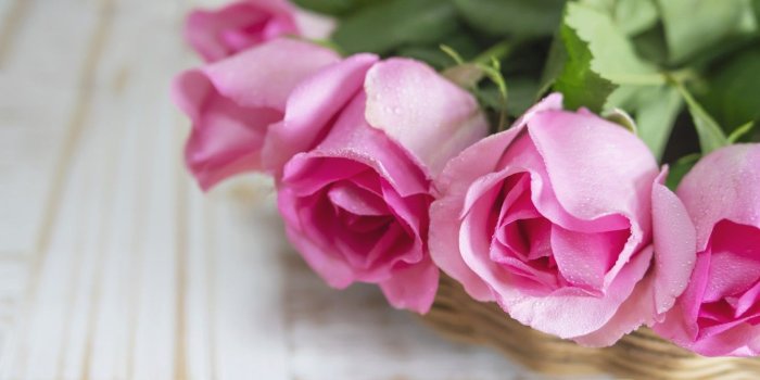 1332x850 Wallpaper roses, bouquet, pink, beautiful, pink, roses images for