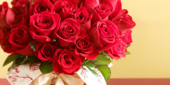 1920x1080 Beautiful-Pink-Roses-HD-Flower-Cool-HD-wallpaper-wpt4602962