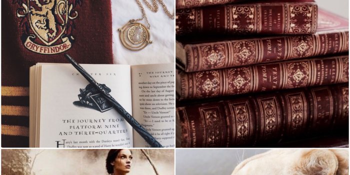 3000x4000 Finally made my own collage! Gryffindor! | HP/Ilvermorney Aesthetics