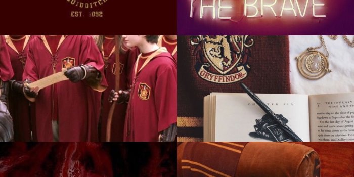 1200x1800 Gryffindor aesthetic #2 | Gryffindor aesthetic in 2019 | Harry