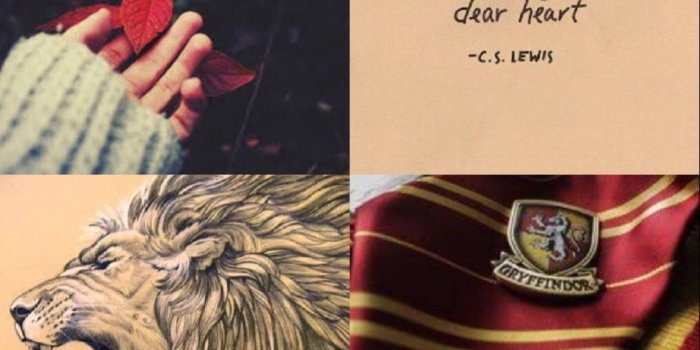 1014x1800 Gryffindor aesthetic edit | Gryffindor in 2019 | Harry potter, Harry