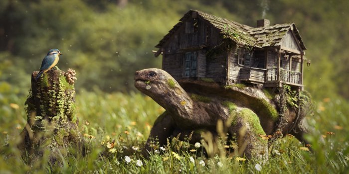 3840x2160 79+ Most Popular Wallpapers on WallpaperPlay