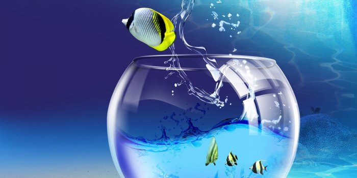 1920x1080 Most popular desktop wallpapers Gallery