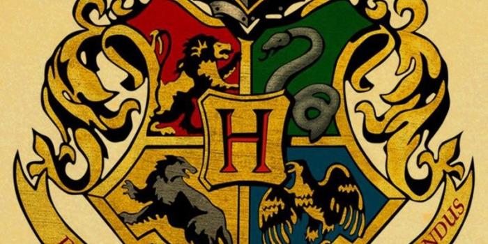 800x1131 US $1.56 21% OFF|Harry Potter Wall Stickers  Gryffindor/Ravenclaw/Hufflepuff/slytherin retro poster 4 magic College  Wallpaper room wall Decoration-in