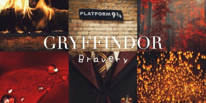 1080x1920 Harry Potter Gryffindor Wallpapers