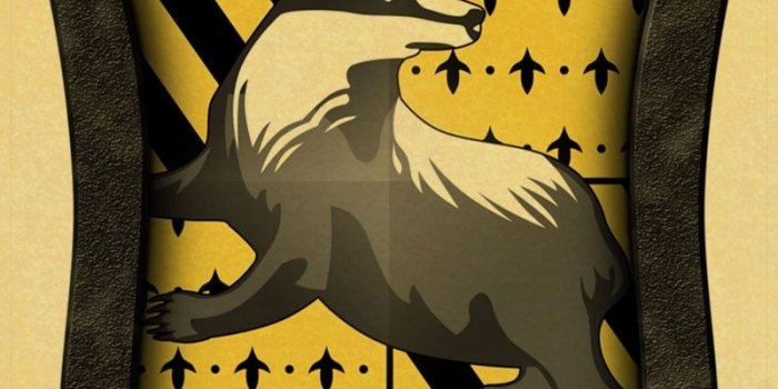 800x1131 Harry Potter Wall Stickers Gryffindor/Ravenclaw/Hufflepuff/slytherin retro  poster 4 magic College Wallpaper room wall Decoration