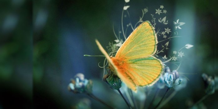 1920x1080 60+ Most Popular Desktop Wallpapers - Download at WallpaperBro