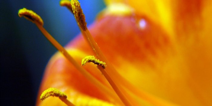 1280x1024 Most Popular Wallpaper - Wallpapers Browse