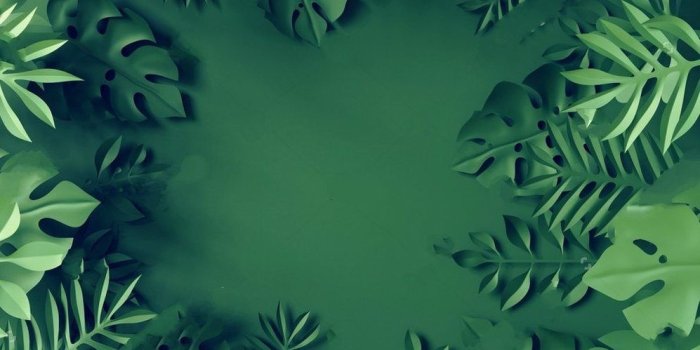 997x988 top 10 most popular computer wallpaper free brands and get free