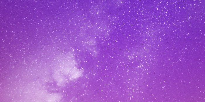 1242x2688 iPhone Xs Max Motorola One Vision Wallpaper | Grab iPhone Wallpapers