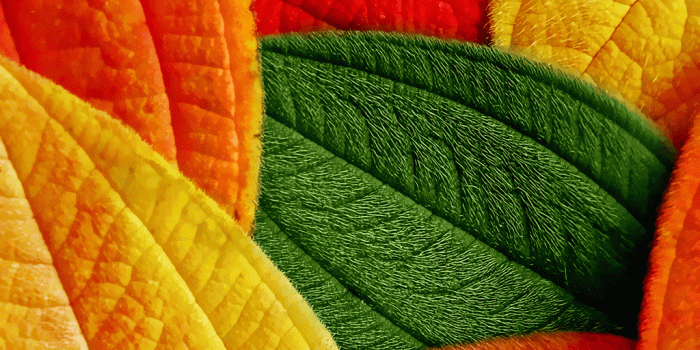 1024x910 Best 47+ Motorola Wallpaper HD on HipWallpaper | Motorola Wallpaper