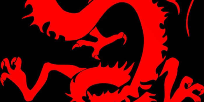 1080x1920 Red Dragon HD Motorola Phone Wallpaper