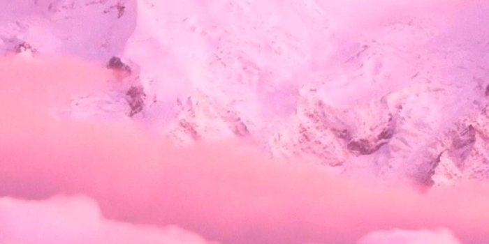 1080x1920 77+ Pink Phone Wallpapers on WallpaperPlay