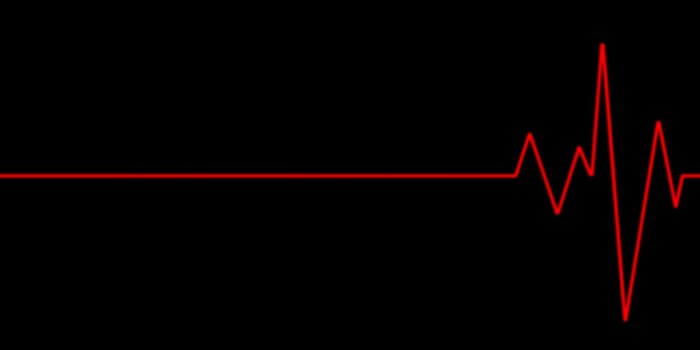 2560x1600 65+ Heart Monitor Wallpapers - Download at WallpaperBro