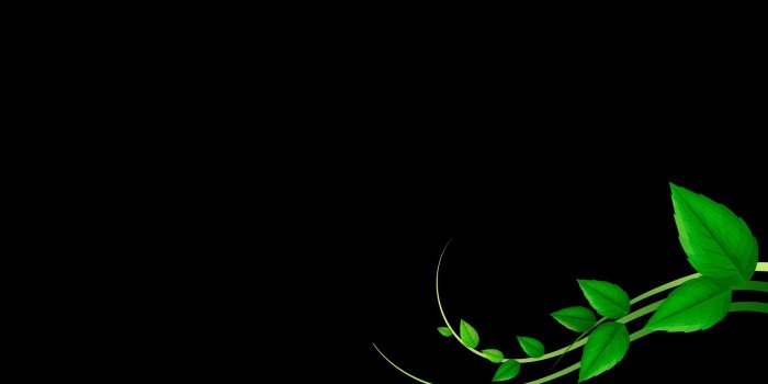 1920x1080 2985043 1920x1080 minimalism green black sound ekg wallpaper and