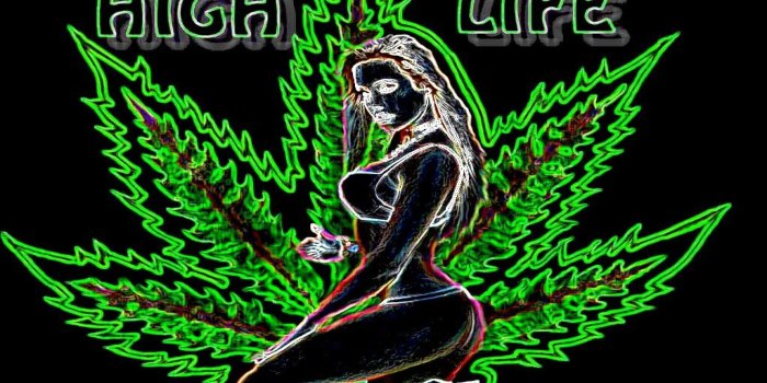 2560x1600 Best 57+ Cartoons Smoking Weed Wallpaper on HipWallpaper
