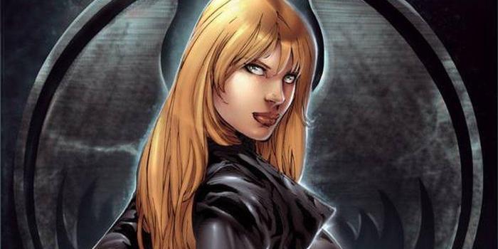 1280x959 Black Canary Wallpapers