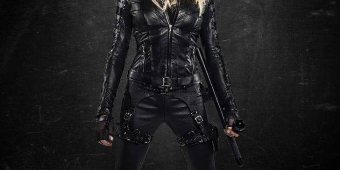 748x1121 Katie Cassidy, Arrow, DC Comics, TV, Black Canary Wallpapers HD