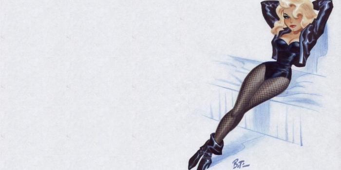 1024x768 Black Canary - Gotham Girls Wallpaper (11066425) - Fanpop