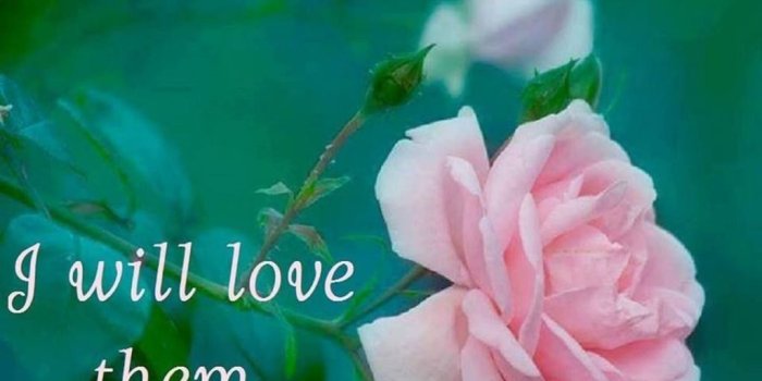 1024x1024 Love My Family Quotes I Love My Family Quotes Pictures Photos Images