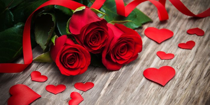 2560x1440 Heart, Petal, Love, Rose Family, Flower WQHD, QHD, 16:9 Wallpaper
