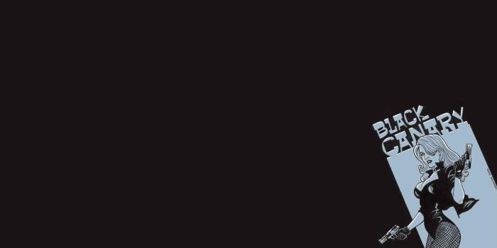 1920x1080 Black Canary Wallpapers (72+ pictures)