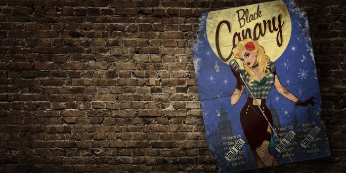 1920x1080 Black Canary poster, Black Canary, DC Comics, pinup models HD