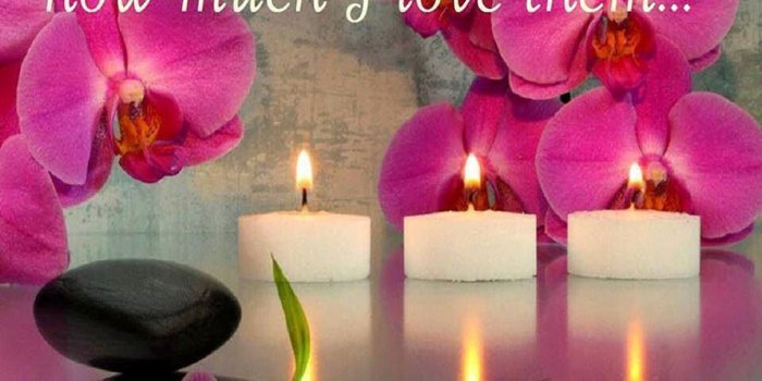 960x960 Download I Love My Family Hd Wallpaper (41) - mariacenoura.pt