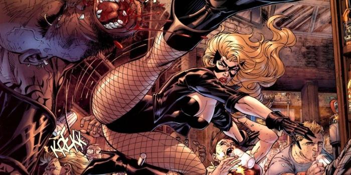 1024x768 Black Canary - DC Comics Wallpaper (9267056) - Fanpop