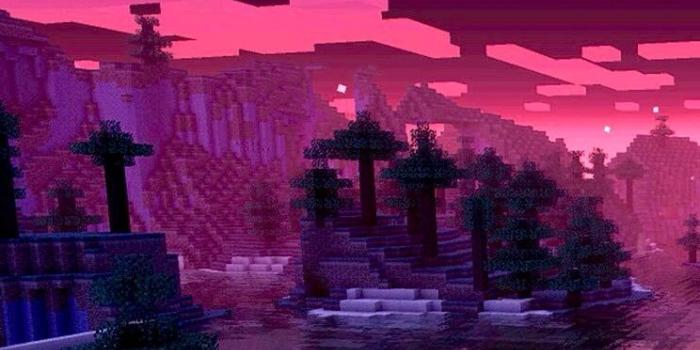 744x1392 Minecraft sunset. Wallpaper. | Gaming in 2019 | Minecraft wallpaper