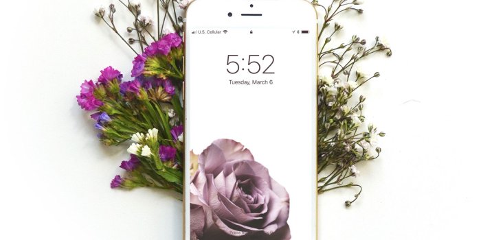 2048x2048 Single Rose • iPhone Wallpaper • Digital Download • Instant • Purple Rose •  Phone Accessories • Cell Phone Wallpaper • Lock Screen