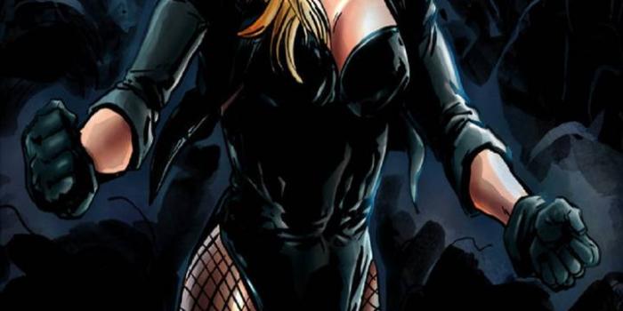 720x1280 Black Canary Wallpapers HD 720x1280 (42) - WallpapersTalk