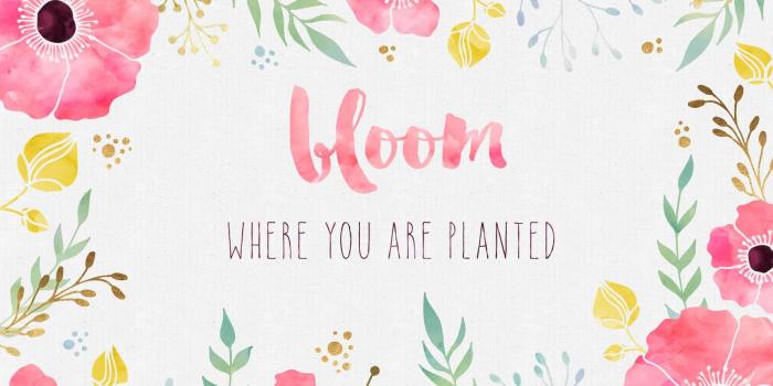 1600x900 40+ Free Girly Desktop Wallpapers - The Pretty City Girl