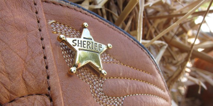 2048x1536 Sheriff Star Gold Lapel Pin