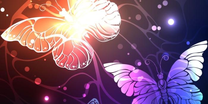 1080x1920 Girl Butterfly Play Art wallpaper