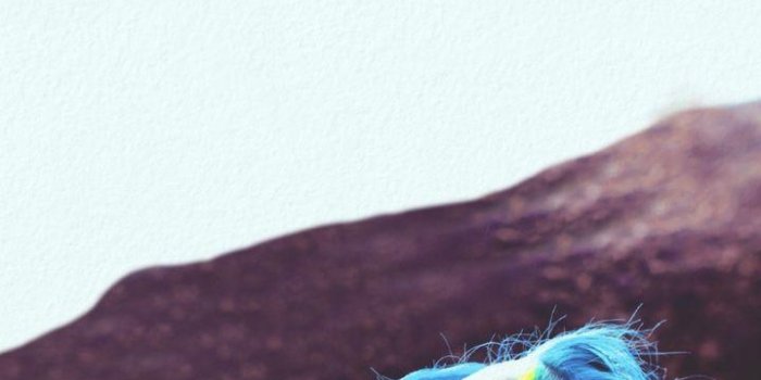 719x1280 Halsey Iphone Lockscreen/wallpaper - Halsey Hold Me Down Single