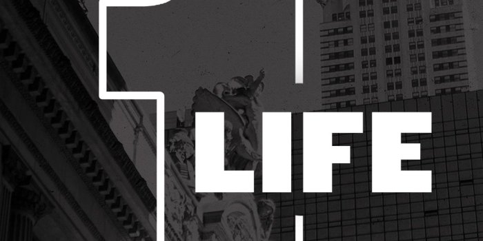 1080x1920 47+ Sheepdog Police Wallpapers on WallpaperPlay