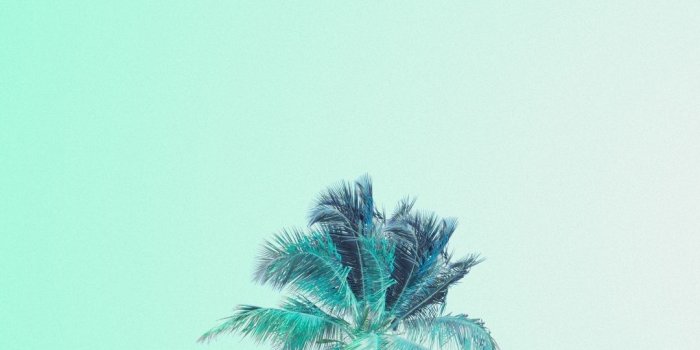 1080x1920 Mint Green Wallpapers (61+ images)