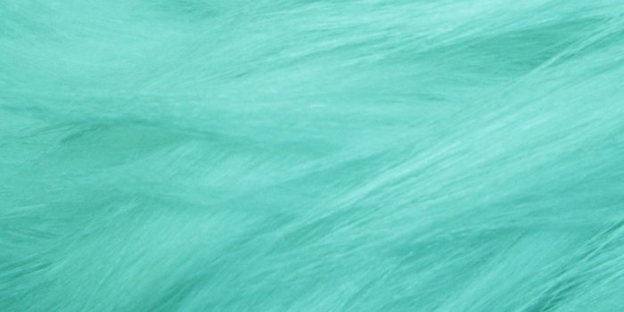 1080x1920 Mint Green Wallpapers (61+ images)