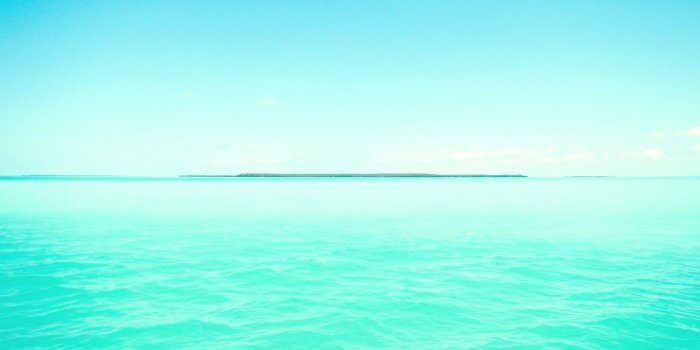 1600x1200 50+] Mint Colored Wallpaper on WallpaperSafari