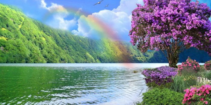 1920x1080 Rainbow HD Wallpapers