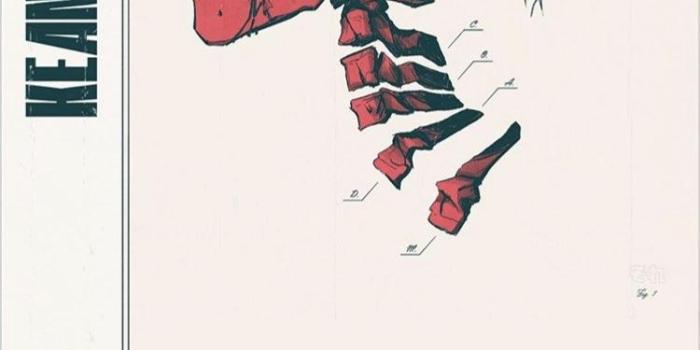 750x1334 An “official” Logic iPhone wallpaper - sponsored story on Instagram