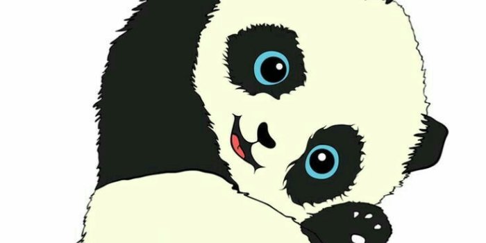 736x1309 Oanh on Tattoo in 2019 | Cute panda wallpaper, Panda