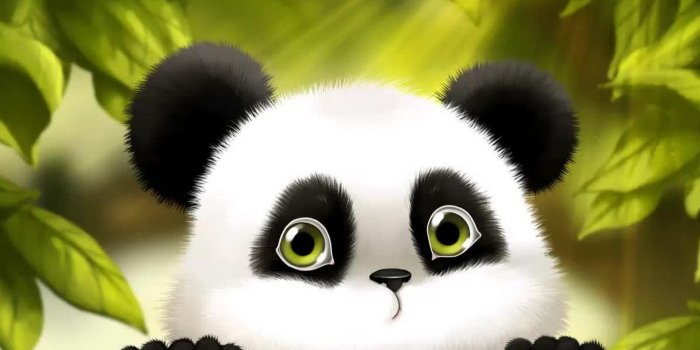 1920x1080 83+ Cartoon Panda Wallpapers on WallpaperPlay