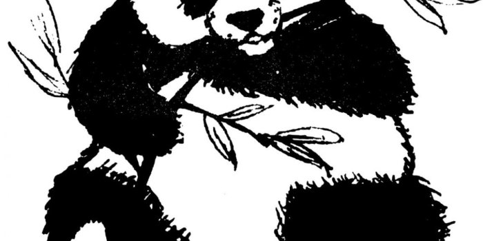 1155x1200 28 High Quality Free Cute Panda Wallpapers (HD Images)