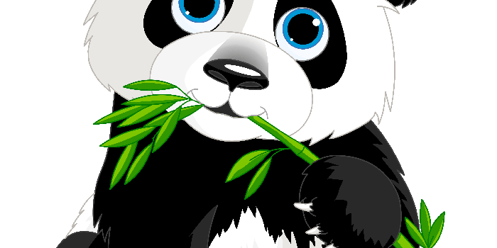3562x4094 Drawing Pandas Wallpaper Transparent & PNG Clipart Free Download