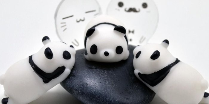 1000x1000 Group of Super Cute Cartoon Panda